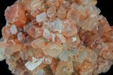 Aragonite Twinned Crystal Cluster - Morocco #59795-2